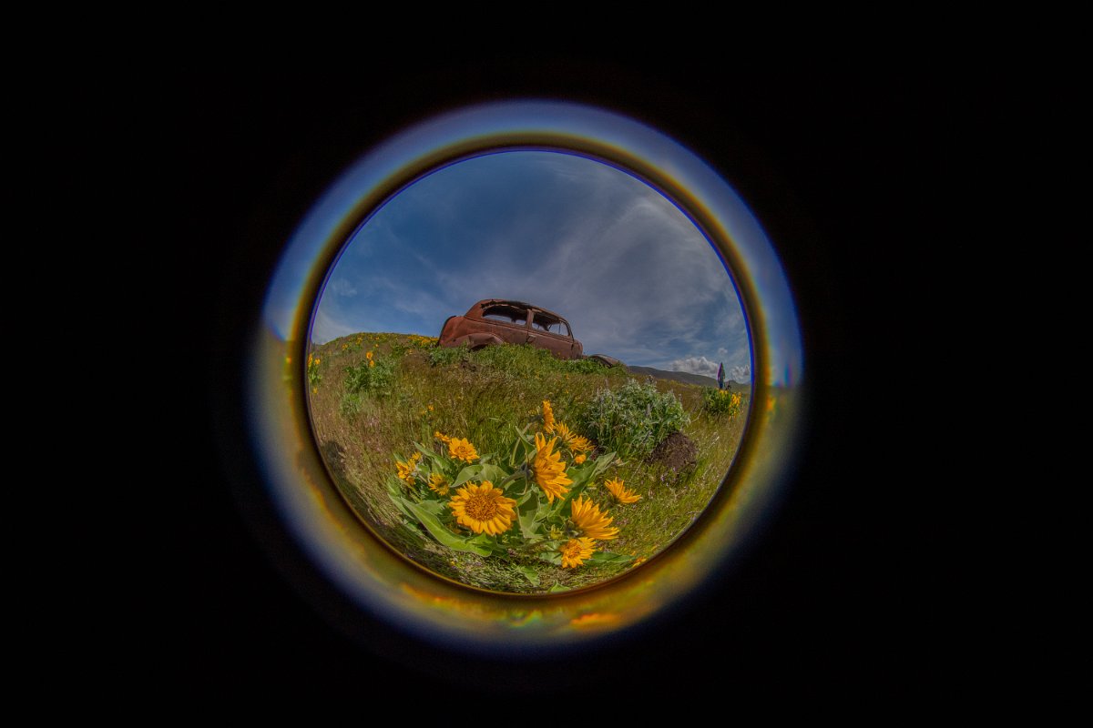 D05_9533.jpg - The Dalles Mountain Ranch
