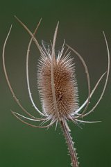 D05_3405