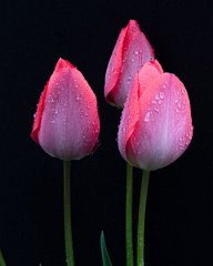 D05_9281