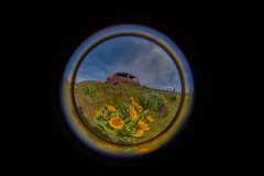 D05_9533