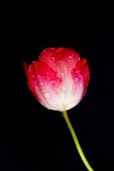 D05_9682