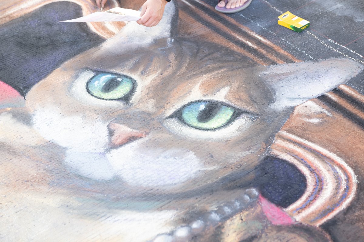 Z09_4069.jpg - Sidewalk Art