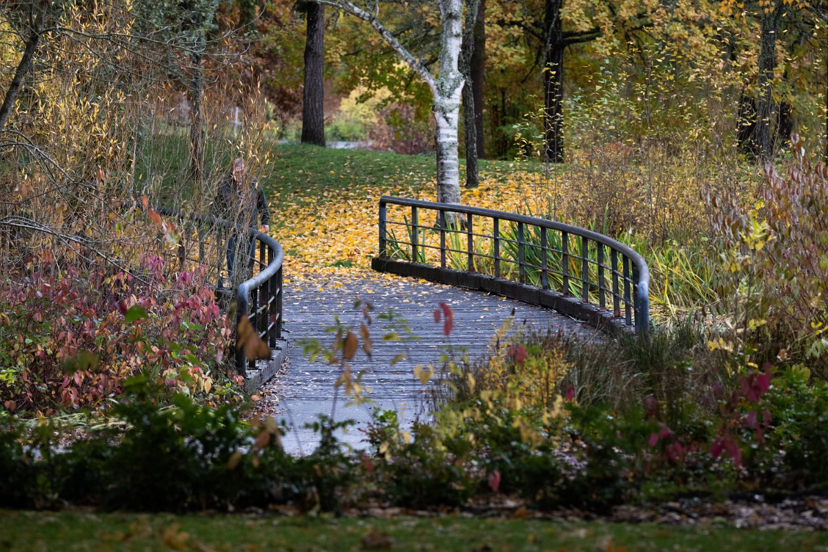 Z09_7382.jpg - Dawson Creek Park