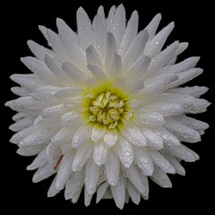 Z09_6559-2-Edit