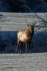 Z09_9118-Edit