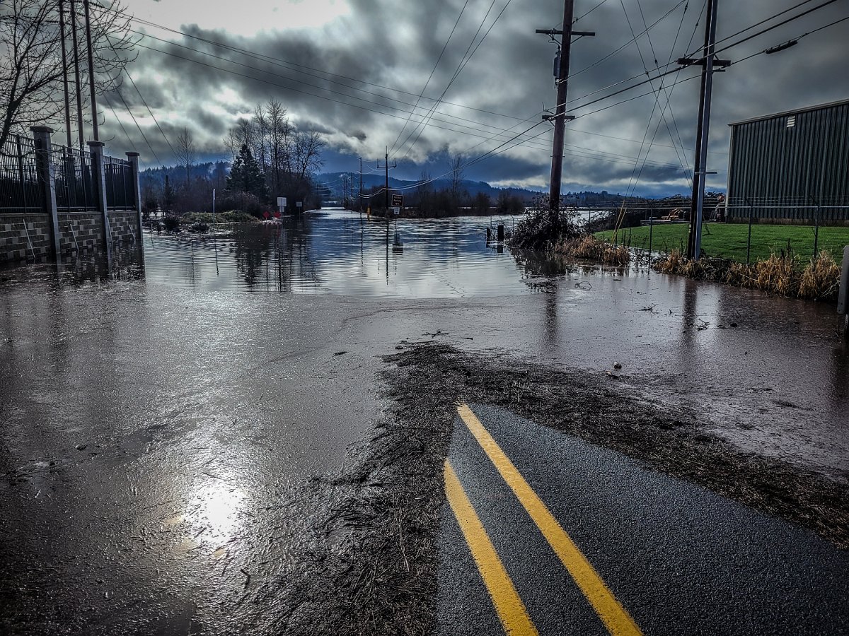20240124_114941.jpg - Fernhill Flood