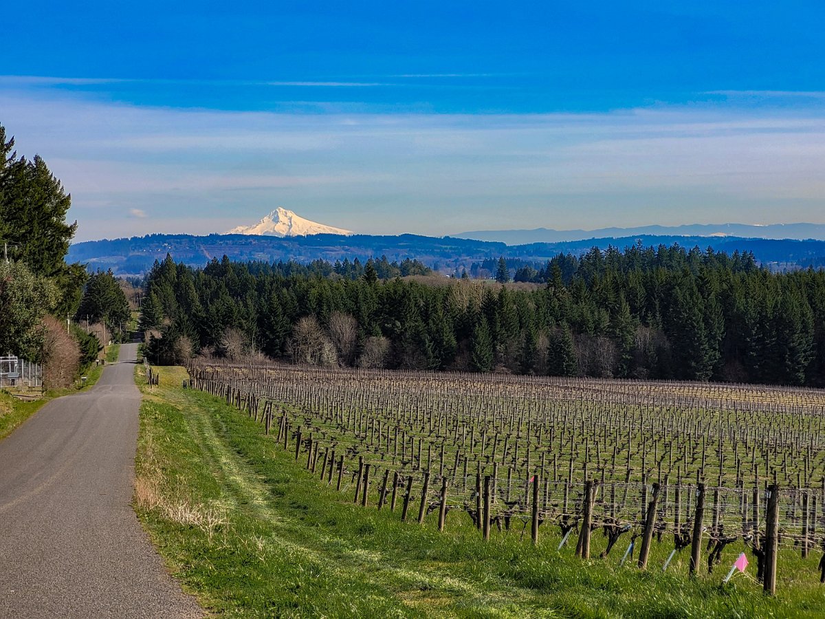 20240308_122957-Edit-Enhanced-SR.jpg - Mt Hood