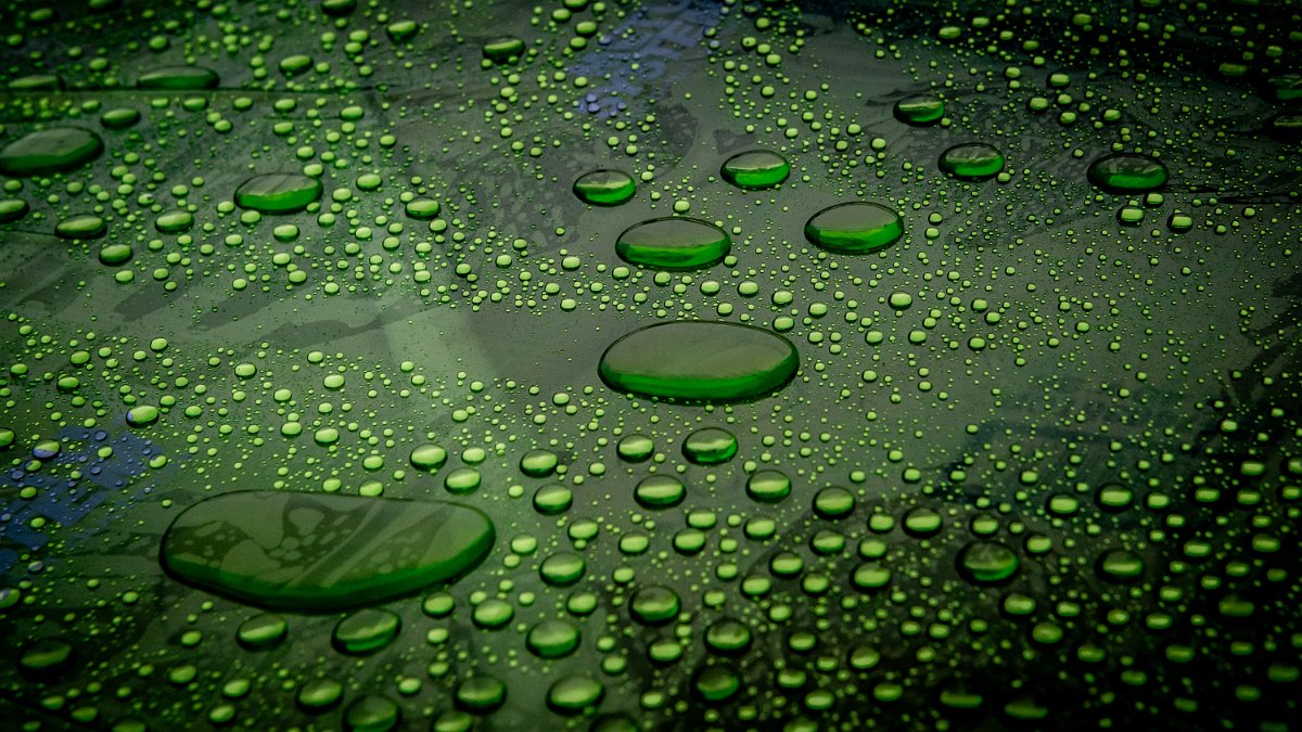 D05_7855.jpg - Wet Plastic Sheet