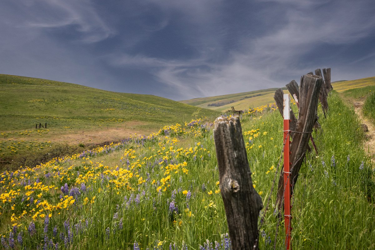 D85_7864-Edit.jpg - The Dalles Mountain Ranch