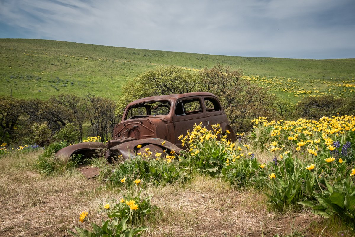 D85_7877.jpg - The Dalles Mountain Ranch