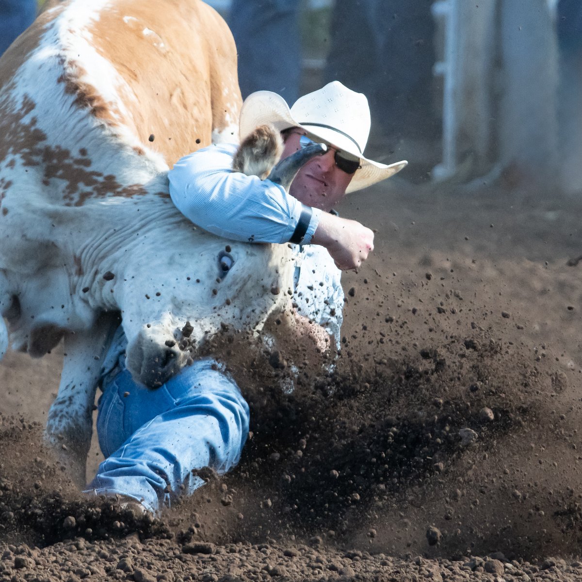 D85_8045-Enhanced-SR-Edit.jpg - St Paul Rodeo #2