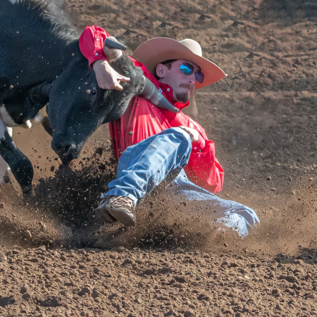 D85_8064-Enhanced-SR-Edit-2.jpg - St Paul Rodeo #3