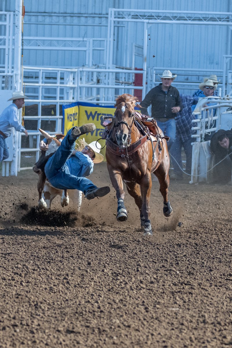 Z09_4561.jpg - St Paul Rodeo #4