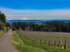 20240308_122957-Edit-Enhanced-SR