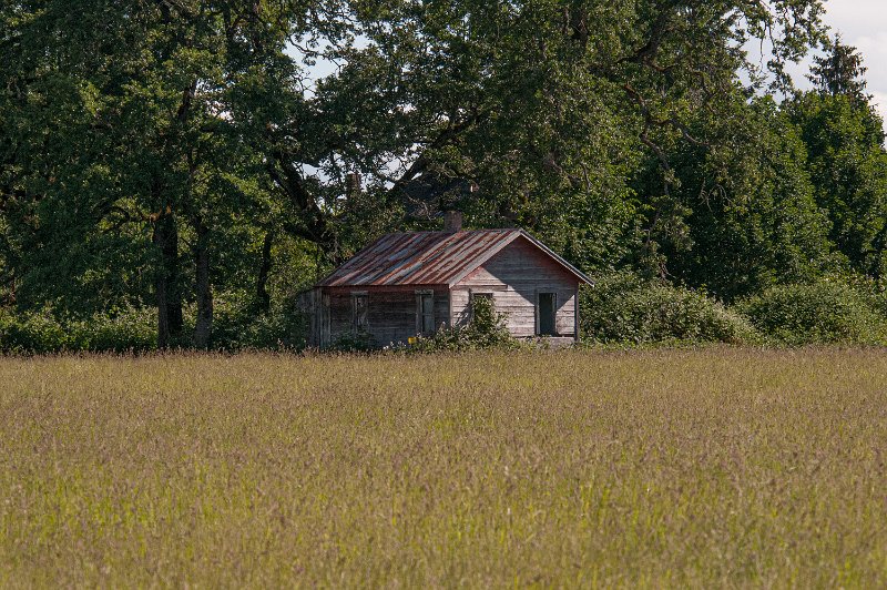 30S_8261.jpg - Sauvie Island, OR