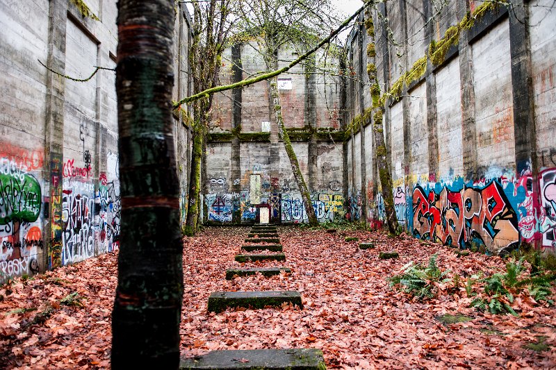 D04_4822.jpg - Fuel Bunker, Vernonia, Oregon