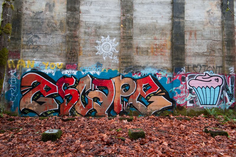 D04_4832.jpg - Fuel Bunker, Vernonia, Oregon