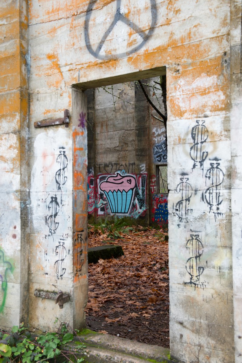 D04_4860.jpg - Fuel Bunker, Vernonia, Oregon