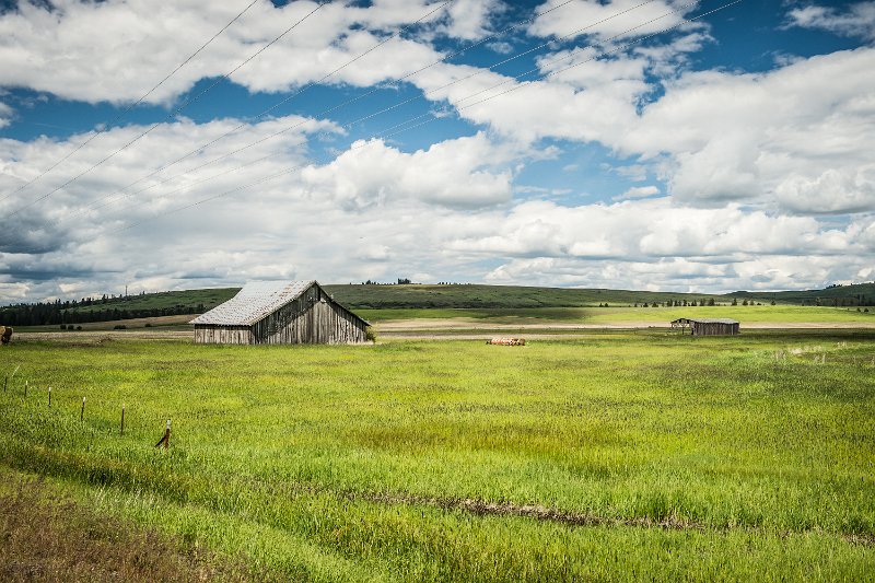 D04_8137-Edit.jpg - Barn Near Elgin, OR