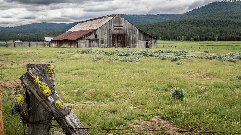 D05_9515.jpg - Old Barn, Whitney, OR