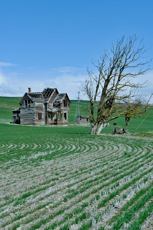 D80_7111.jpg - Charles E. Nelson Homestead
