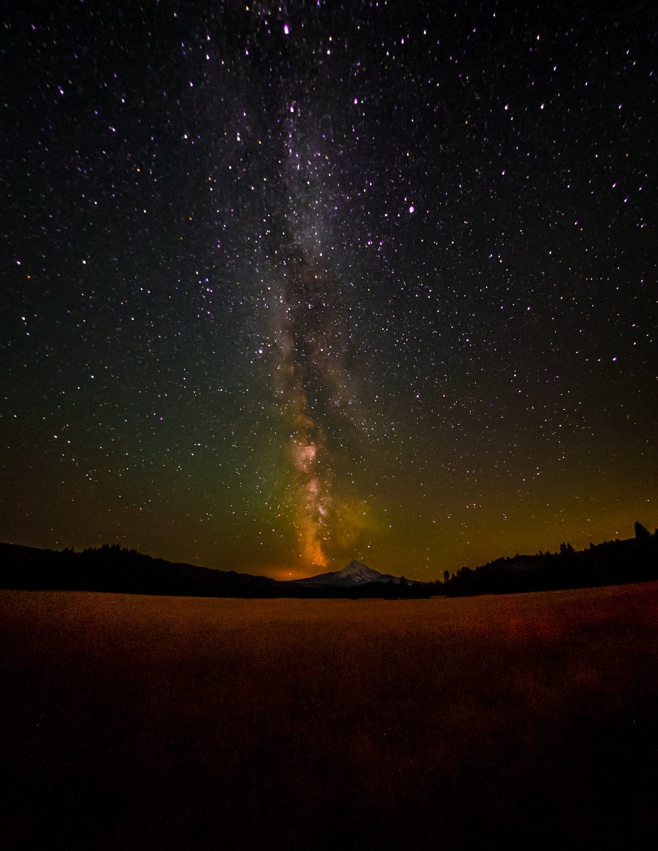 D04_7978.jpg - frankhuntphoto.com