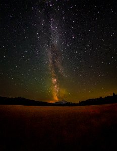 D04_7978
