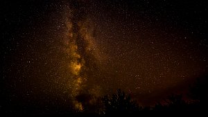 D80_7531