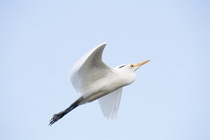 D05_3427