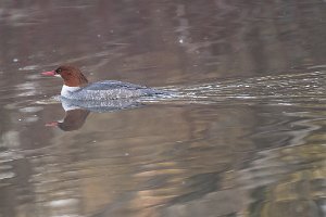 D05_8981