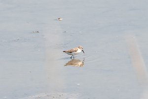 D85_8693