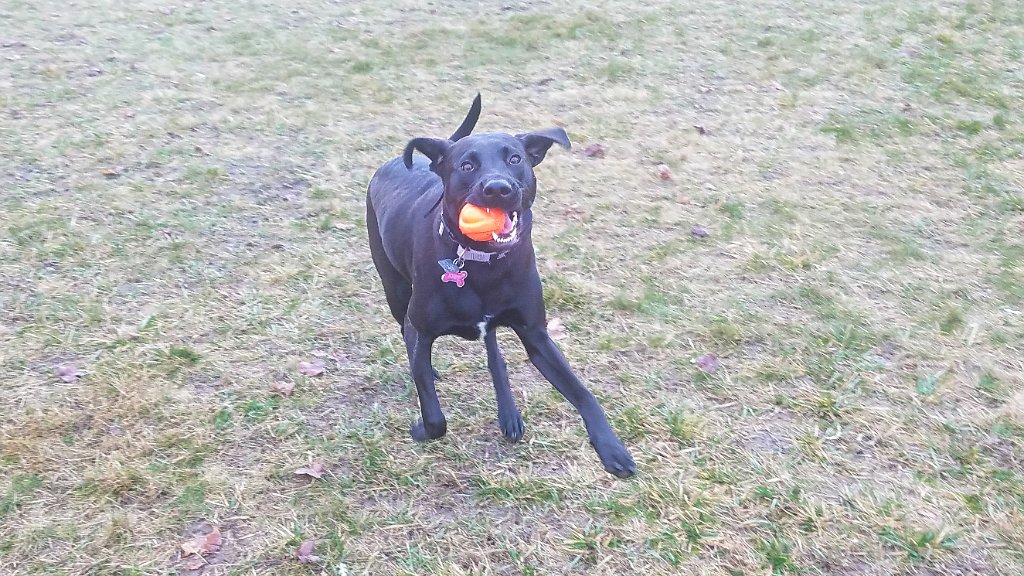 20201209_104135.jpg - Happy because ball