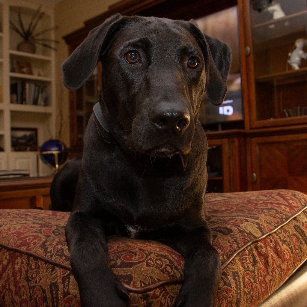 710_9691.jpg - Kate on her couch