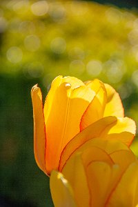 IMG_9333