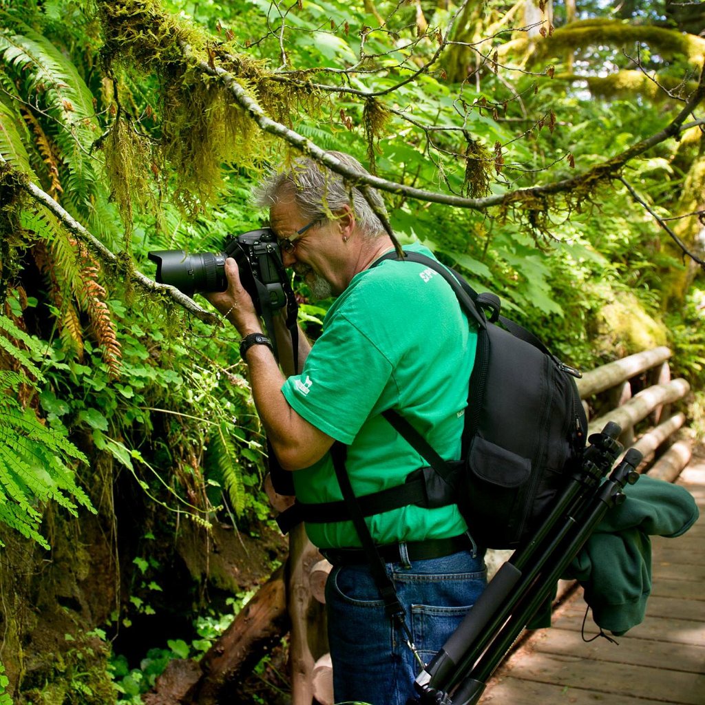 butte_creek-06.18.2014.jpg - Butte Creek Falls Trail