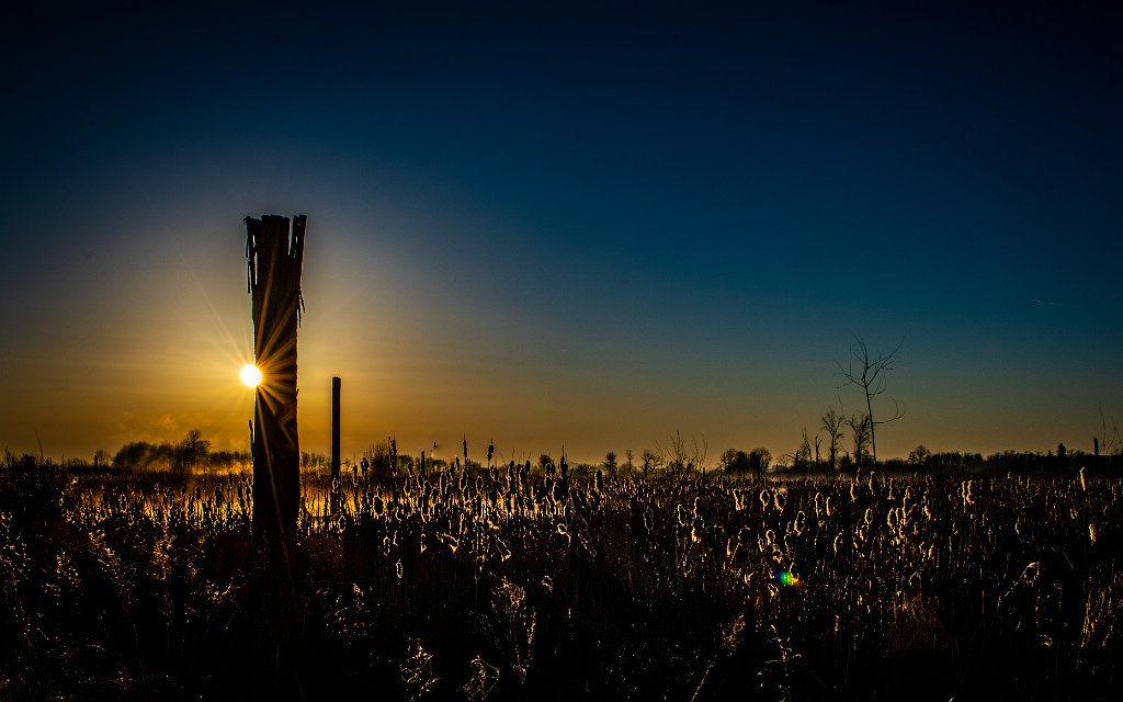 D05_7686.jpg - Fernhill Wetlands