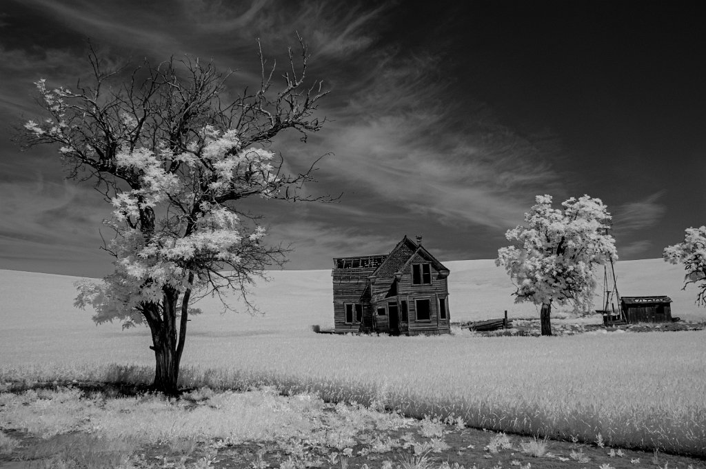 IRC_0691.jpg - Charles E. Nelson Homestead