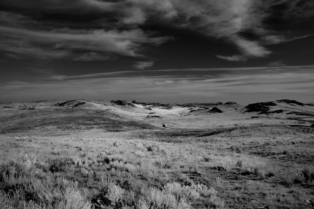 IRC_2120.jpg - Leslie Gulch