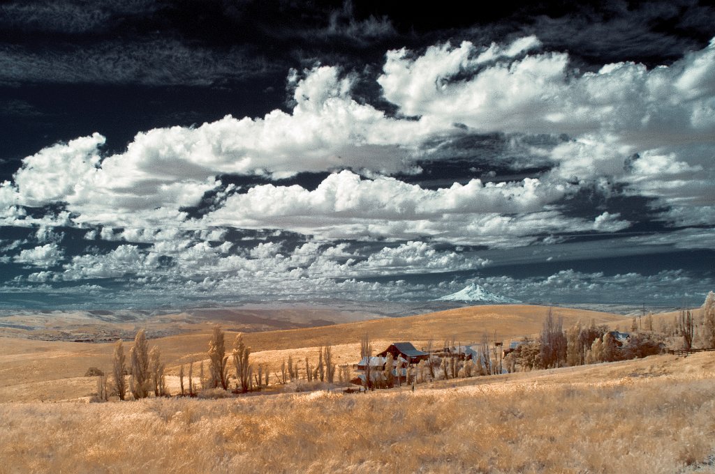 IRC_9612-Edit.jpg - Mt Hood from The Dalles Mountain Ranch