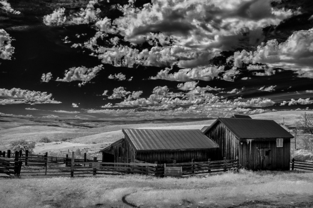 IRC_9618-Edit.jpg - Mt Hood from The Dalles Mountain Ranch