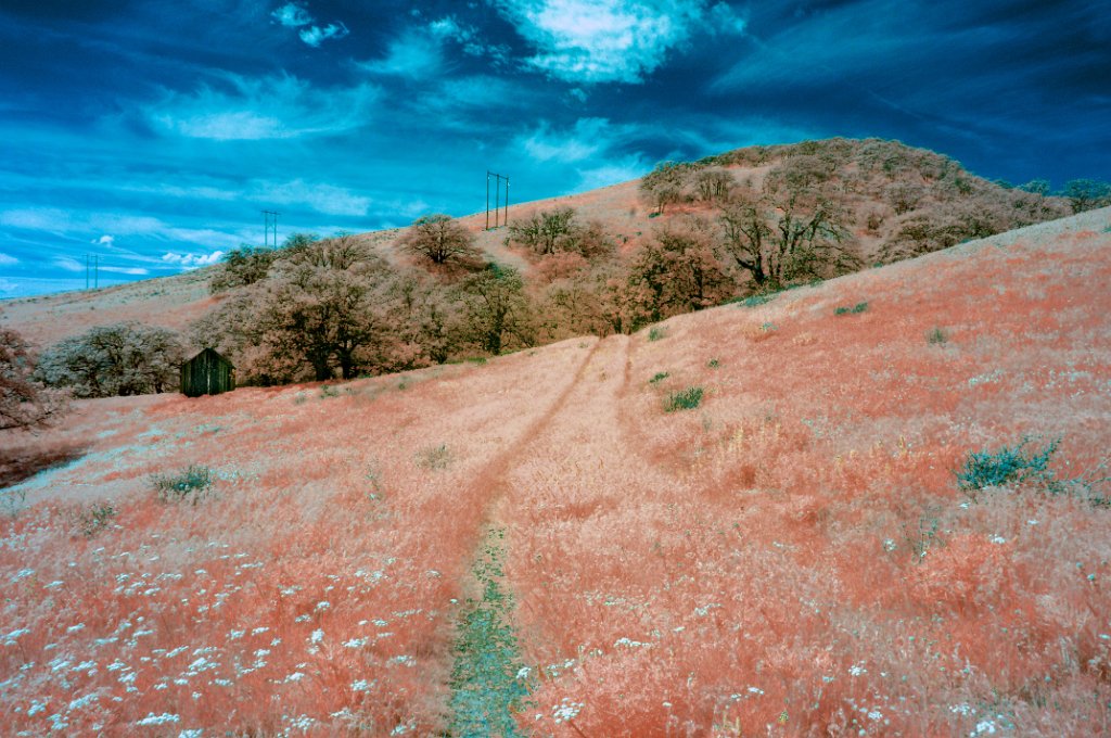 IRC_9648.jpg - The Dalles Mtn Ranch