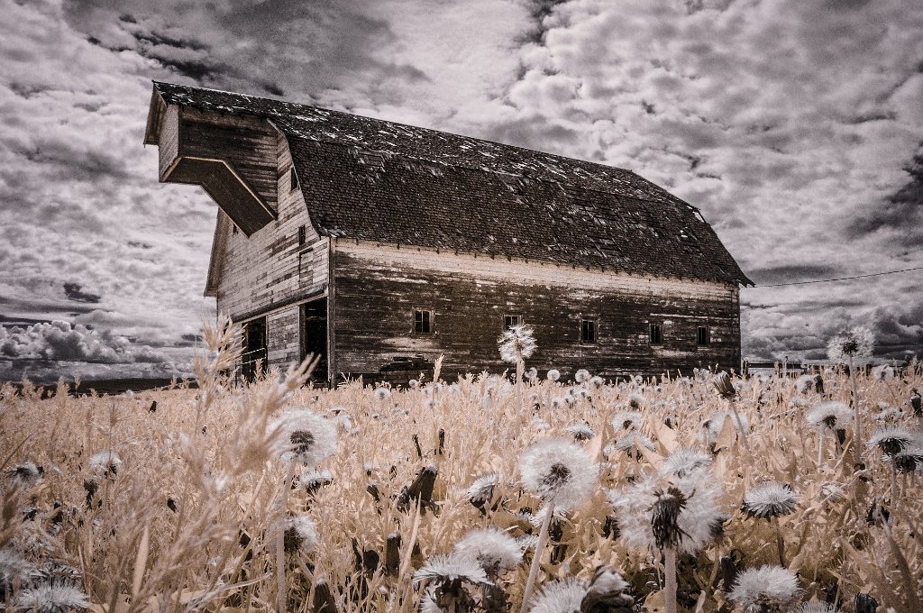 IRC_9715-Edit-Edit.jpg - Barn Near Joseph, OR