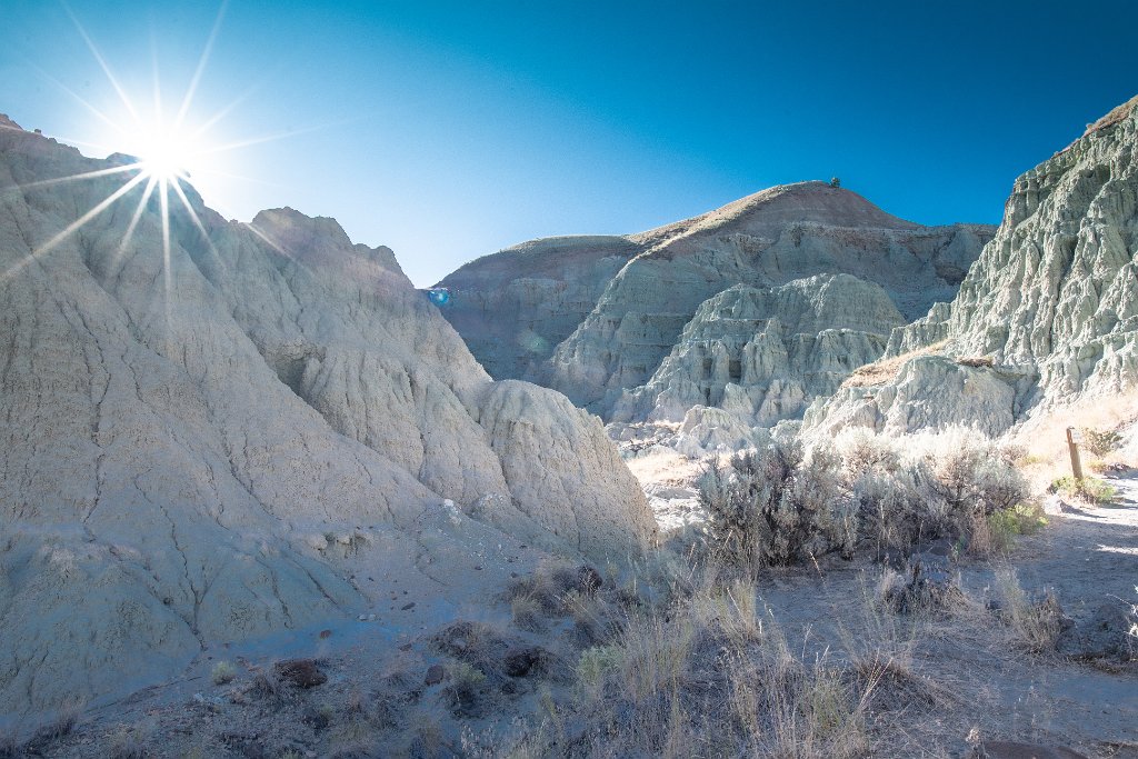 D85_2088.jpg - Blue Basin Unit, John Day Fossil Beds