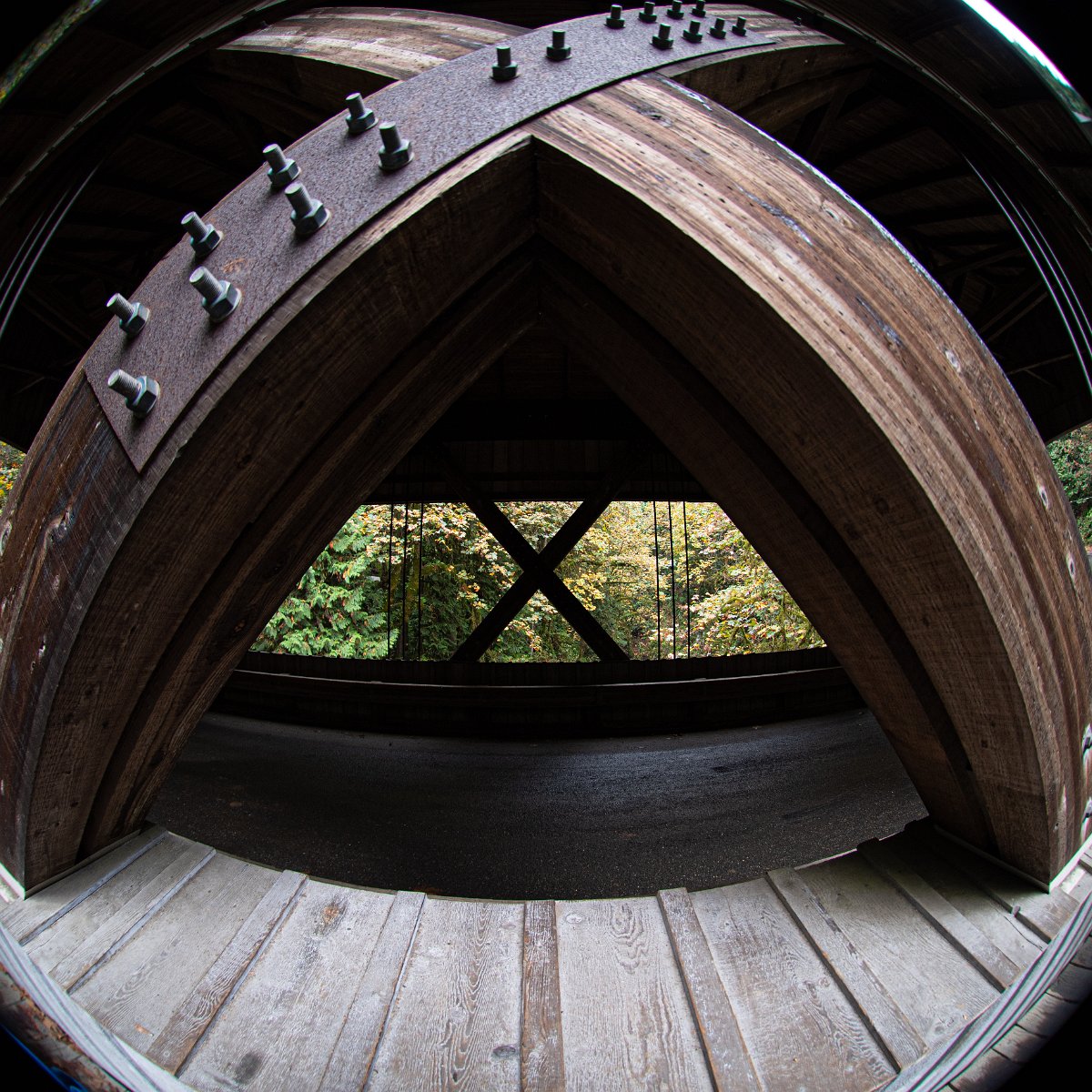 D05_3594.jpg - Cedar Creek Covered Bridge, near Woodland, WA