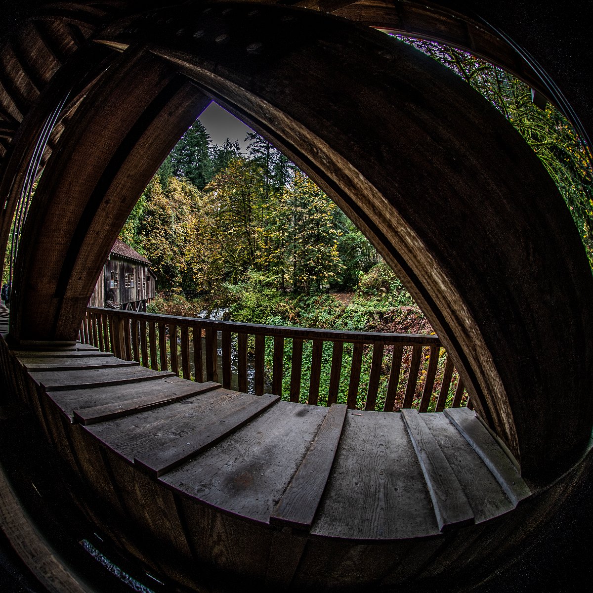 D05_3606.jpg - Cedar Creek Covered Bridge, near Woodland, WA