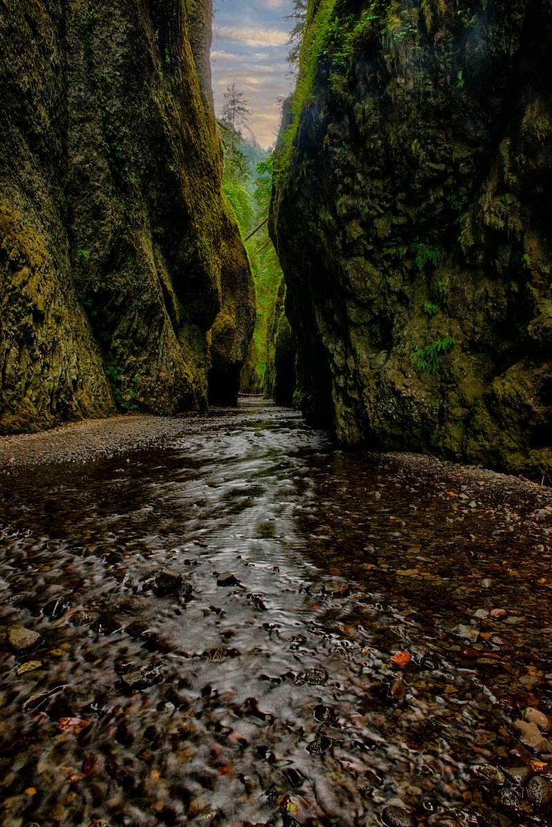 D80_3422_HDR-Edit.jpg - Oneonta Gorge