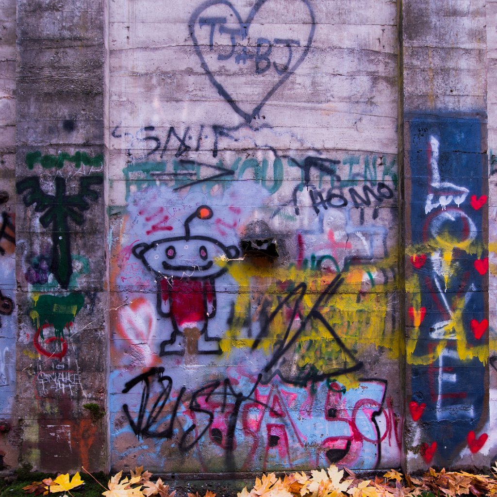 D04_3277-Edit.jpg - Fuel Bunker, Vernonia, Oregon