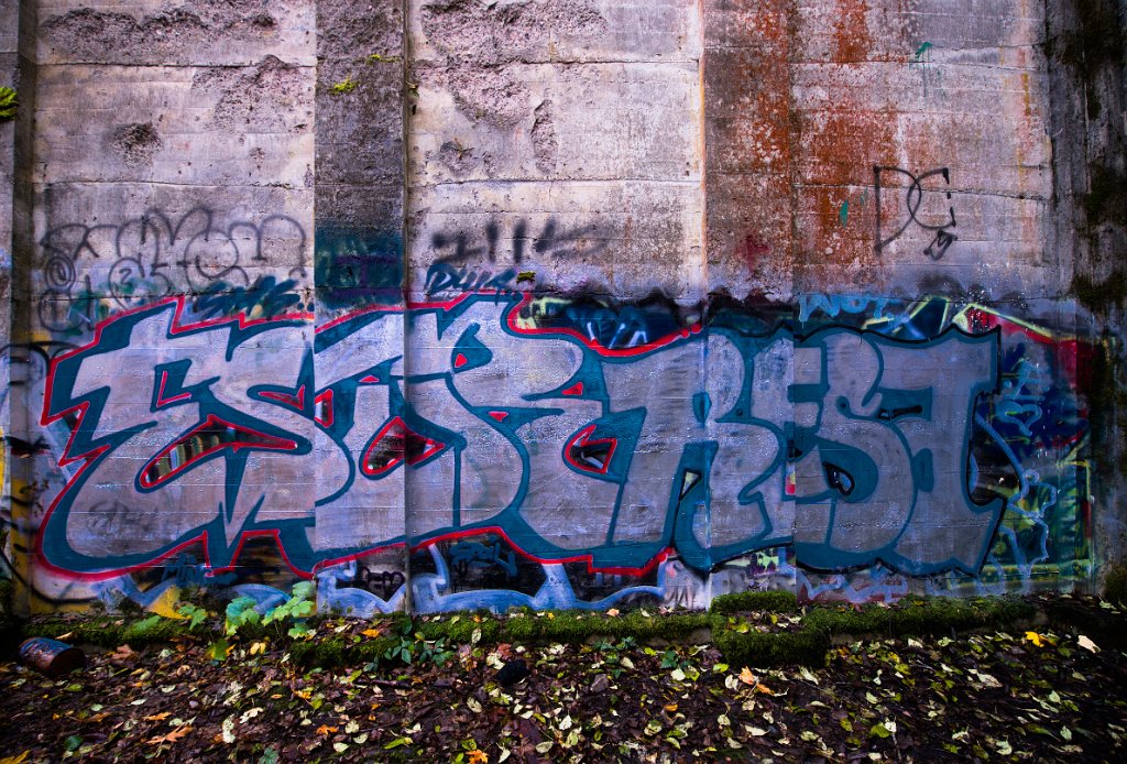 D04_3286-Edit.jpg - Fuel Bunker, Vernonia, Oregon