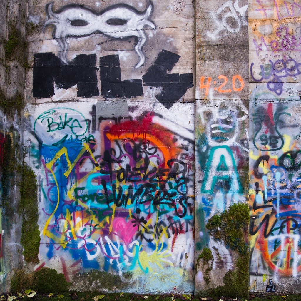 D04_3288.jpg - Fuel Bunker, Vernonia, Oregon