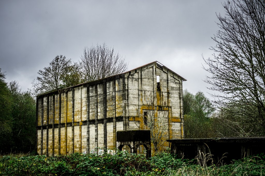 D04_4820.jpg - Fuel Bunker, Vernonia, Oregon